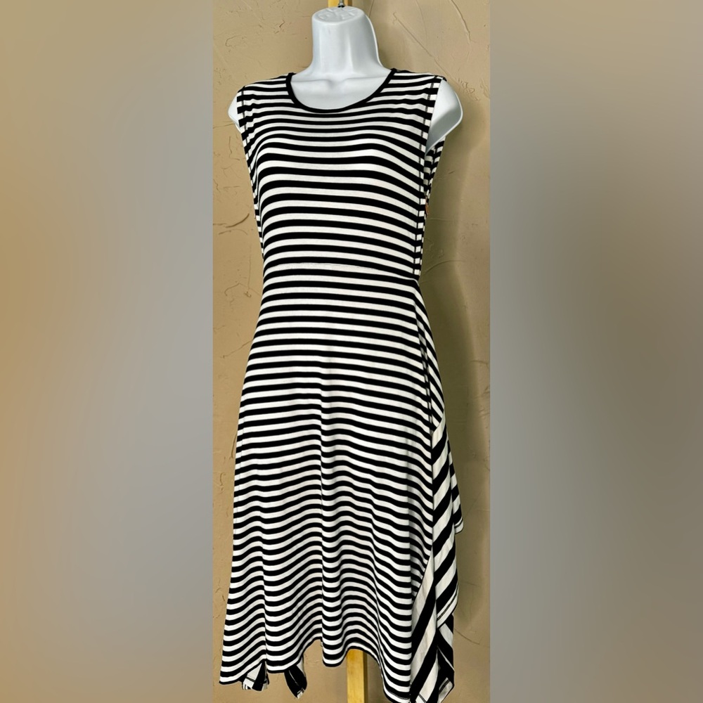 Striped Sleeveless Fit and Flare Dress